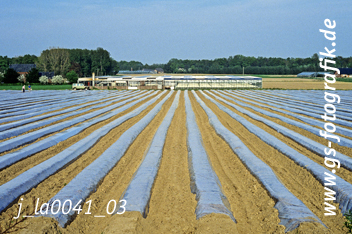 Bild in den Warenkorb legen