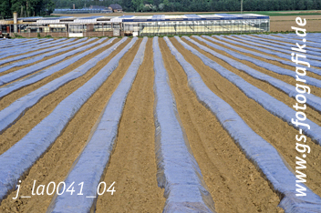 Bild in den Warenkorb legen