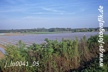 Bild in den Warenkorb legen