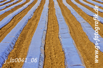 Bild in den Warenkorb legen