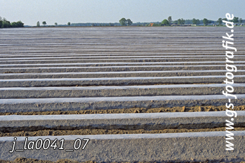 Bild in den Warenkorb legen