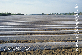 Bild in den Warenkorb legen