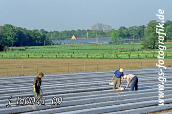 Bild in den Warenkorb legen