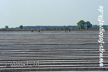 Bild in den Warenkorb legen