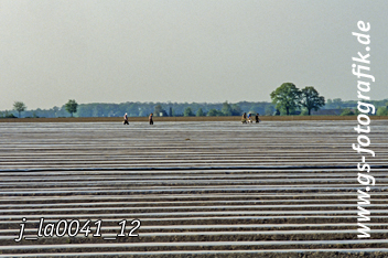 Bild in den Warenkorb legen