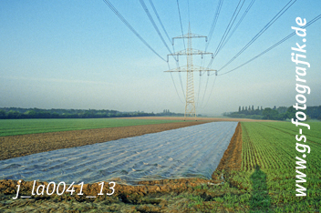 Bild in den Warenkorb legen