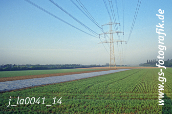 Bild in den Warenkorb legen