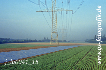 Bild in den Warenkorb legen