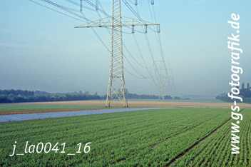 Bild in den Warenkorb legen