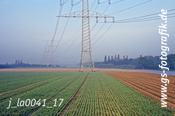 Bild in den Warenkorb legen