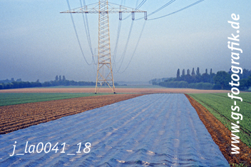 Bild in den Warenkorb legen