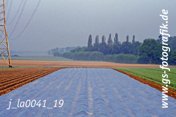 Bild in den Warenkorb legen