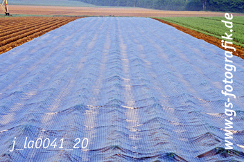 Bild in den Warenkorb legen