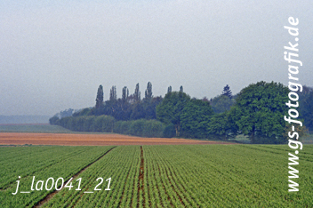 Bild in den Warenkorb legen