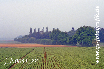 Bild in den Warenkorb legen