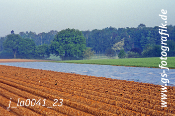 Bild in den Warenkorb legen