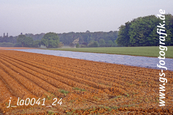 Bild in den Warenkorb legen