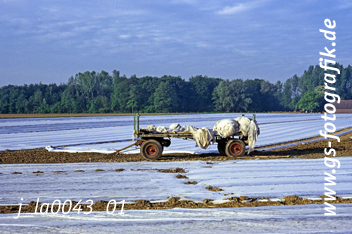 Bild in den Warenkorb legen