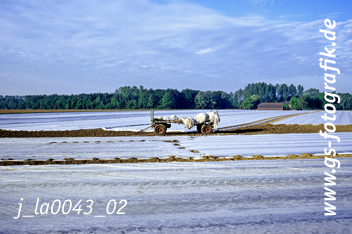 Bild in den Warenkorb legen