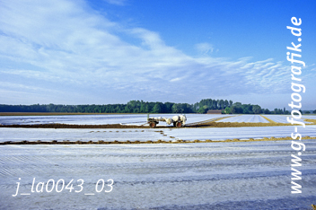 Bild in den Warenkorb legen