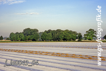 Bild in den Warenkorb legen