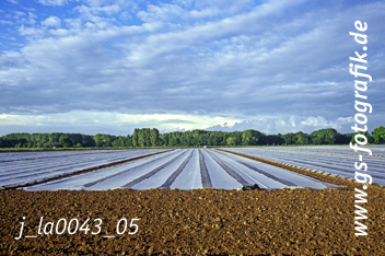 Bild in den Warenkorb legen