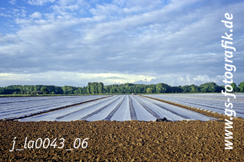 Bild in den Warenkorb legen