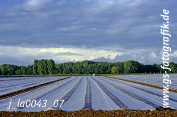 Bild in den Warenkorb legen