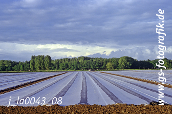 Bild in den Warenkorb legen