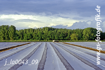 Bild in den Warenkorb legen