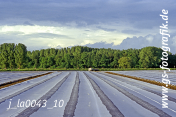Bild in den Warenkorb legen