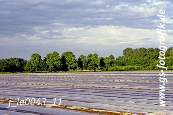Bild in den Warenkorb legen