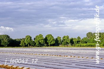 Bild in den Warenkorb legen