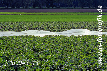 Bild in den Warenkorb legen