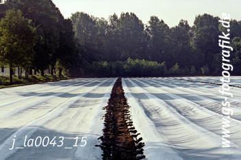 Bild in den Warenkorb legen