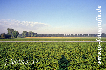 Bild in den Warenkorb legen