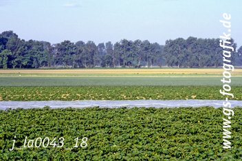 Bild in den Warenkorb legen