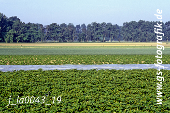 Bild in den Warenkorb legen