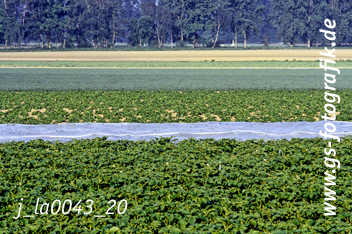 Bild in den Warenkorb legen