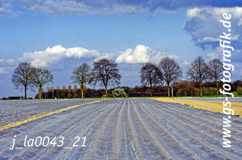 Bild in den Warenkorb legen