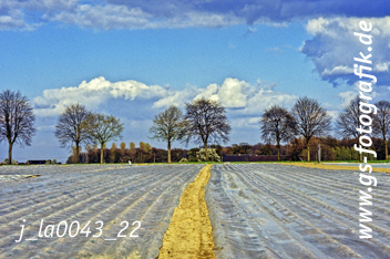 Bild in den Warenkorb legen