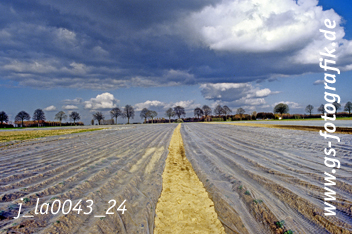 Bild in den Warenkorb legen