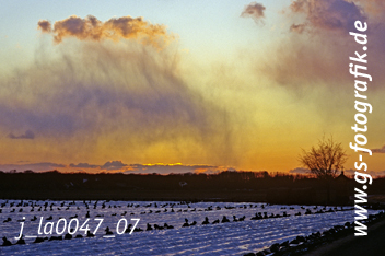 Bild in den Warenkorb legen