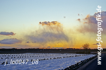 Bild in den Warenkorb legen