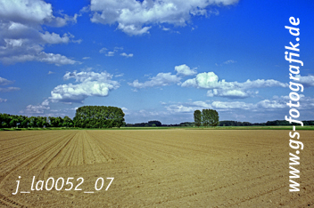 Bild in den Warenkorb legen