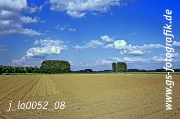 Bild in den Warenkorb legen