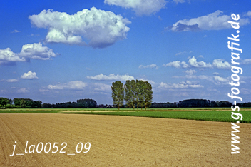 Bild in den Warenkorb legen