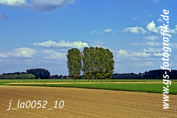 Bild in den Warenkorb legen