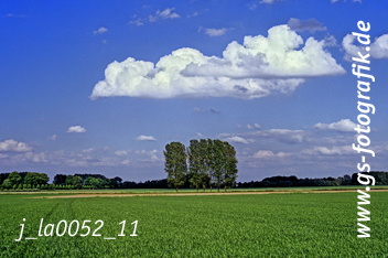 Bild in den Warenkorb legen