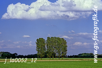 Bild in den Warenkorb legen